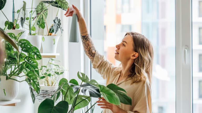 Cuidar plantas reduce cortisol y mejora el estado de ánimo