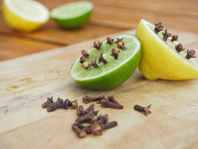 Aceites, plantas y trampas caseras para alejar las moscas del hogar