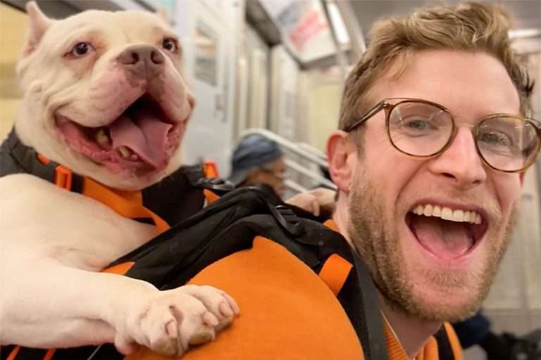 Hermosa historia: 34 perros adoptados en 48 horas gracias a paseos en mochila