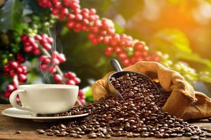 Cuatro tazas de café al día reducen los riegos a sufrir esta complicada enfermedad