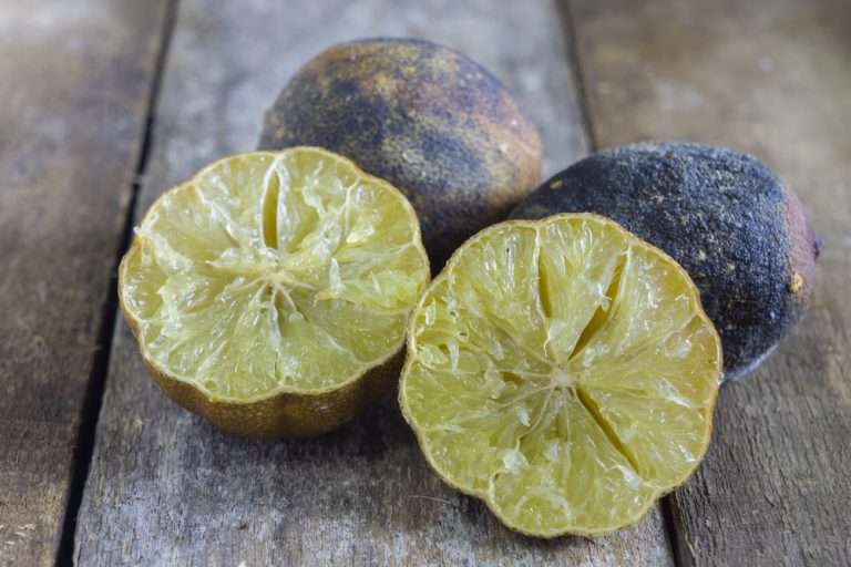 Limón seco: no lo tires, mejor aprovecha todos sus beneficios