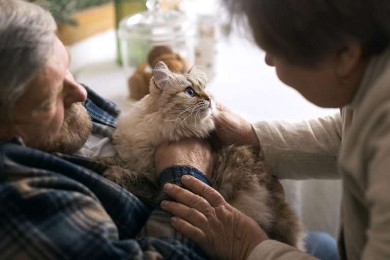 Por qué los gatos eligen a unas personas y evitan a otras