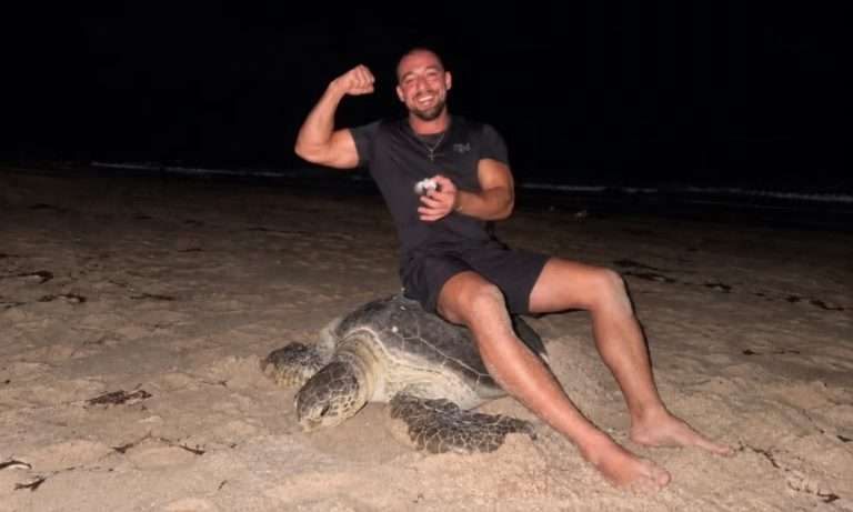 ¡Indignante! Influencer se sienta sobre una tortuga marina que ponía huevos